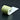 Gelbe Thermorollen 62x62x12 (50m) - Bonrollen Thermopapier | BPA-frei